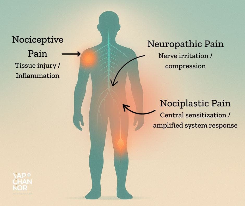 ⭐ The Different Types of Pain — And Which Treatments Actually Fit Each One