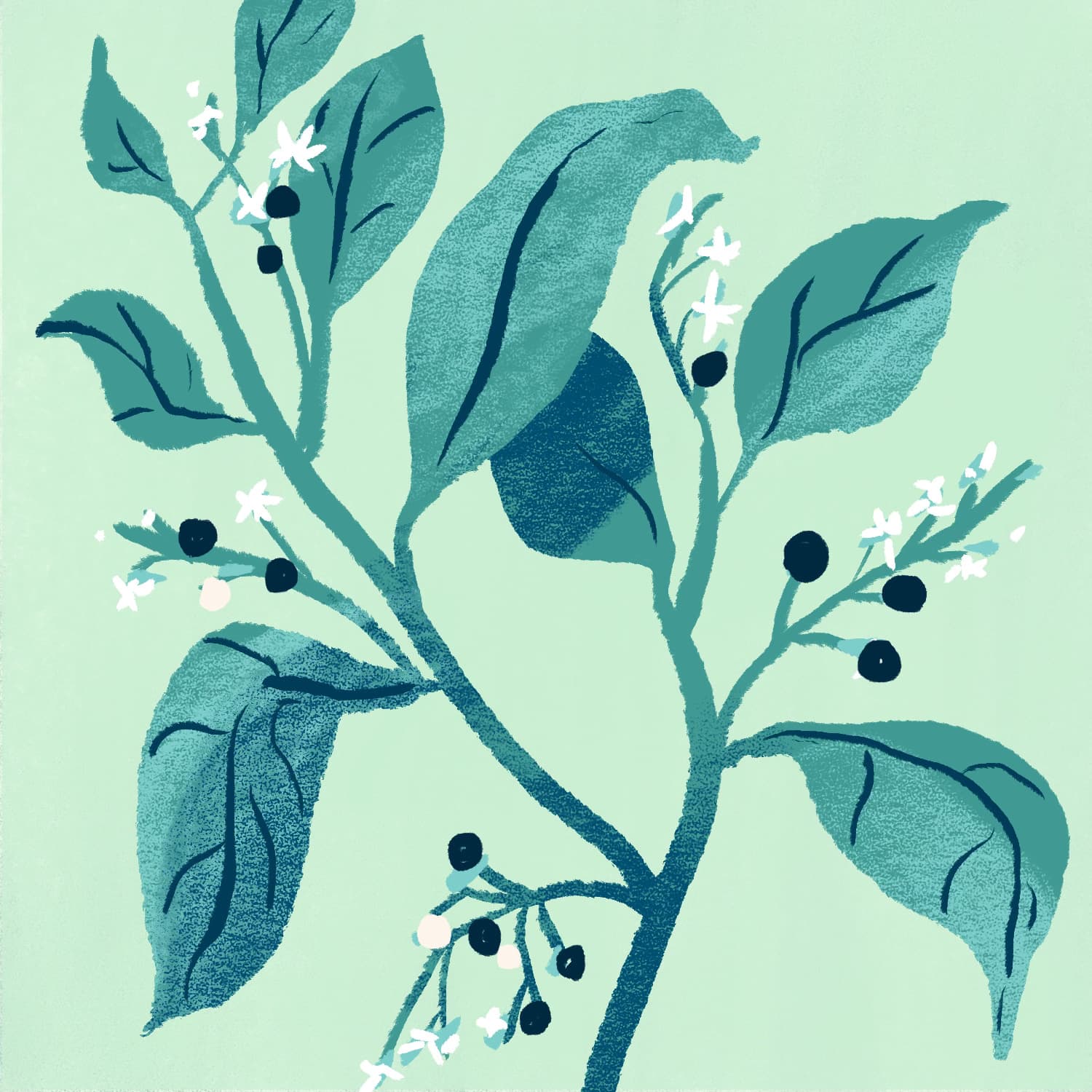 The Empirical Roots of Eastern Pain Medicine